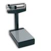 Detecto 4420KG Bench Beam Scales,140 kg x 100 g