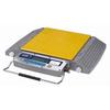 CAS RW-10L Wheel Weighing Scale Legal for Trade, 20000 x 50 lb