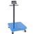 Doran DCS5250 Legal For Trade 24 x 24 Curbside Baggage Scale 250 x 0.05 lb