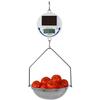 Detecto SCS30 Solar-Powered Legal for Trade Hanging Scale 30 lb x 0.02 lb