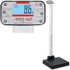 Detecto APEX Physician Scale With Mechanical Height Rod 600 x 0.2 lb