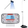 Detecto APEX-SH-LXI-AC Physician Scale With Sonar Height Rod AC adapter and Welch Allyn LXI  600 x 0.2 lb