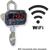 MSI 176909-250 MSI-3460 CHALLENGER 3 Crane Scale with WiFi and ScaleConnect App Legal For Trade 250 x 0.1 lb