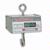 Detecto HSDC-100KG Legal for Trade Hanging Scale, 99.95  x 0.05 kg