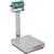 Detecto EB-30-185B Rival Stainless Steel Legal for Trade Bench Scale 30 x 0.01 lb