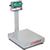 Detecto EB-60-185B Rival Stainless Steel Legal for Trade Bench Scale 60 x 0.02 lb