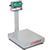 Detecto EB-150-185B Rival Stainless Steel Legal for Trade Bench Scale 150 x 0.05 lb