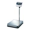 CAS BW-150 Digital Bench Scale Legal for Trade, 300 x 0.1 lb