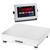 Doran 22025/12 Legal For Trade Washdown Bench Scale with 12 x 12 inch Base 25 x 0.005 lb