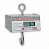 Detecto HSDC-40 Legal for Trade Hanging Scale, 40 x 0.02 lb