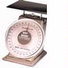 Best Weight B-40-STN Stainless Steel Spring Scale, 40 lb x 2 oz