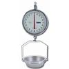 Chatillon K8215DD-T-AS Mechanical Hanging 13 inch Scale with AS Pan, Double Dial, 15 kg x 20 g