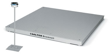 Salter Brecknell DCSM Pegasus Digital Floor Scales with SBI140 Indicator