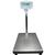 Adam Equipment GFK-165a  Floor Check Weighing Scales, 165 x 0.01lb