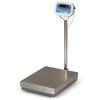 Salter Brecknell S100