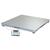 Brecknell DSB4848-05 Legal for Trade 4 x 4  ft Floor Scale 5000 x 1 lb (816965005246)