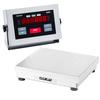 Doran 4350 Legal for Trade 10 X 10 Checkweighing Scale 50 x 0.01 lb