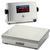 Doran 7405 Legal For Trade Washdown 10 x 10 Bench Scale 5 x 0.001 lb Doran 7405 Legal For Trad