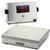 Doran 74200/15 Legal For Trade Washdown 15 x 15 Bench Scale 200 x 0.05 lb Doran 74200/15 Legal For