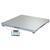Brecknell DSB6060-10 Legal for Trade 59`` x 59`` Floor Scale 10000 x 2 lb