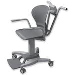 550-10-1 Chair Scale