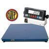 Prime Scales - GIE Series 60 x 84 inches Legal for Trade Floor Scale 10000 x 2 lb Prime Scales - GIE Series