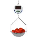 Detecto SCS30 Solar-Powered Legal for Trade Hanging Scale