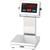 Doran 7010XL-C14  Legal For Trade Bench Scale with 10 x 10 inch Base and 14 inch Column 10 x 0.002 lb