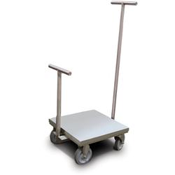 Rice Lake 178045WITHTC with Accredited Certificate Class 6 ASTM Clean Room Weight Cart 50 kg