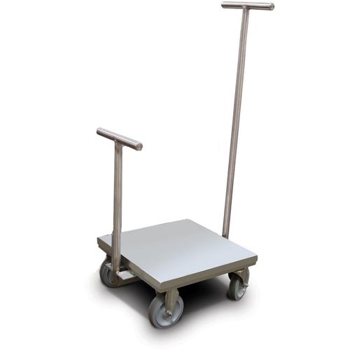 Rice Lake 180625WITHTC with Accredited Certificate Class 6 ASTM Clean Room Weight Cart 250 kg