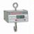 Detecto HSDC-100 Legal for Trade Hanging Scale, 99.95 x 0.05 lb