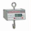 Detecto HSDC-100 Legal for Trade Hanging Scale, 99.95 x 0.05 lb