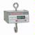 Detecto HSDC-40KG Legal for Trade Hanging Scale, 40 x 0.02 kg
