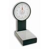 Mechanical Bench Scales