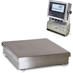 Bench Scales  Rice Lake Weighing Systems