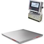 Roughdeck 882IS-SS Stainless Steel FM Approved Scales 1000 lb to 1000 lb