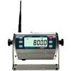 MSI 158425 8000HD RF Meter/2 A/D Inputs/85-265 VAC