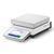 Mettler Toledo® XSR8001S/A Excellence Precision Balance Legal for Trade 8100 x 0.1 g  
