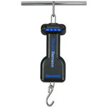 Salter Brecknell ES-55 ElectroSamson Digital Hanging Scales, 55 lb x 0.05 lb 