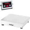 Doran 43100/18S Legal for Trade 18 X 18 Checkweighing Scale 100 x 0.02 lb