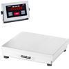 Doran 43250/1824 Legal for Trade 18 X 24 Checkweighing Scale 250 x 0.05 lb
