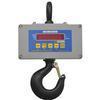 Cambridge CSW-10AT-CS-5K Legal for Trade Crane Scale 5000 X 1 lb