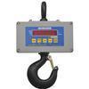 Cambridge CSW-10AT-CS-10K Legal for Trade Crane Scale 10000 X 2 lb