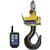 Cambridge ASCS-15AT-RFL-10K Heavy Duty Crane Scale with Radio Frequency Link 10000 x 2 lb