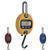 LP Scale LP7652B-600 ABS Housing Mini Crane Scale (colors may vary) 600 x 0.2 lb