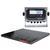 Rice Lake 380-66320 Roughdeck Floor Scale 3 ft x 3 ft Legal for Trade with 380 Indicator - 1000 x 0.2 lb