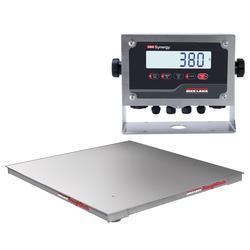 Rice Lake 380-46241 Stainless Steel Roughdeck Floor Scale 4 ft x 4 ft Legal for Trade with 380 Indicator - 1000 x 0.2 lb