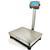 Tree FBs-w1824 Stainless 18 x 24 Legal for Trade 7 key Bench Scale 500 x 0.1 lb