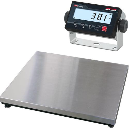 Rice Lake 97665-381 LP Benchmark Low-Profile 24 x 24 inch - Legal for Trade Bench Scale 100 x 0.02 lb