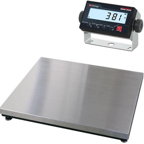 Rice Lake 97668-381 LP Benchmark Low-Profile 30 x 30 inch - Legal for Trade Bench Scale 500 x 0.1 lb